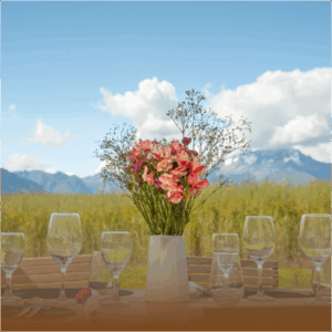 grid hotel an glamping (1)